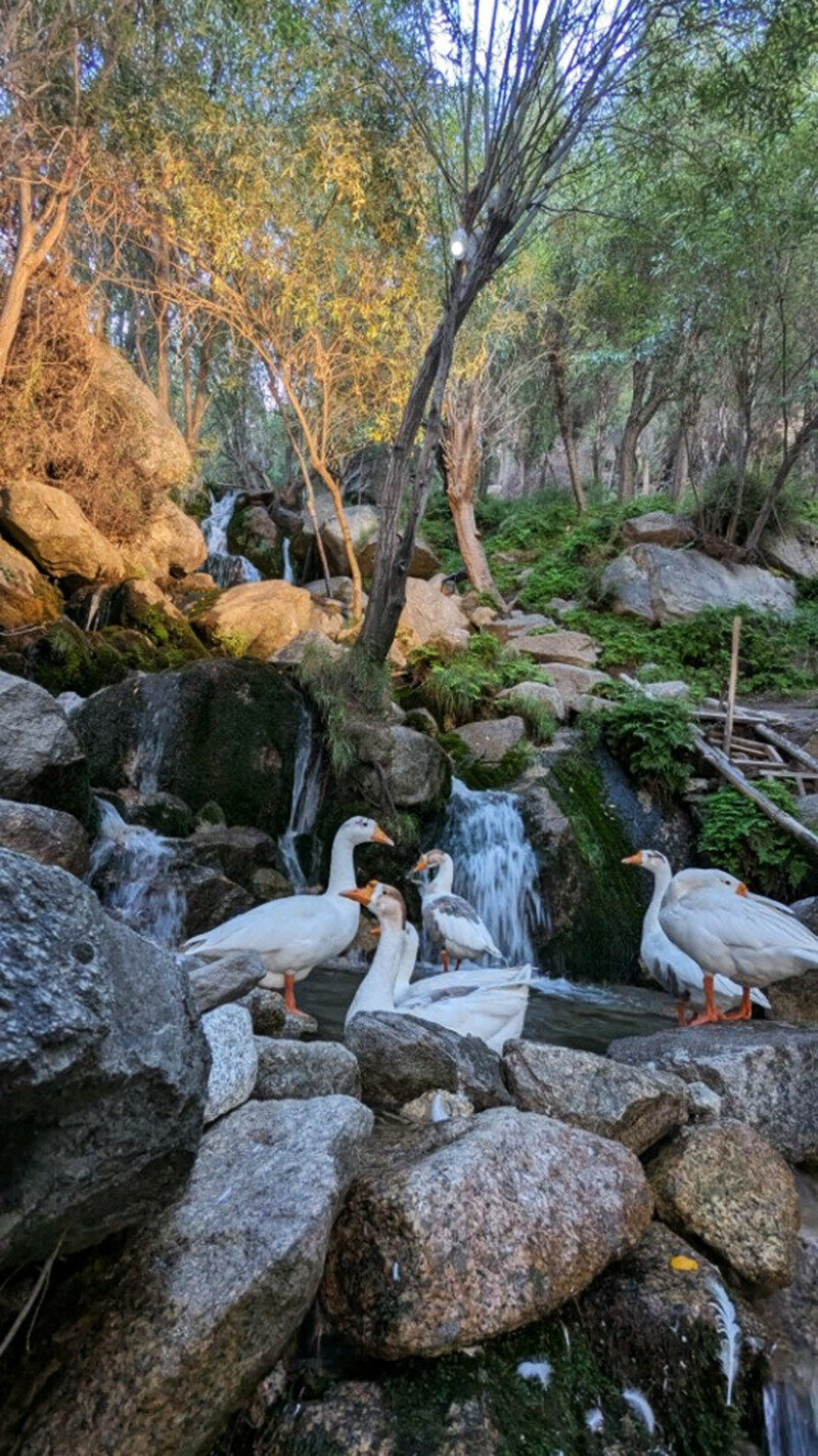  قدرتی حسن کو محفوظ رکھنے کے لیے صفائی کا خیال رکھنے کی ضرورت ہے  