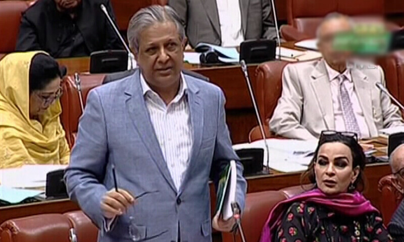 Law Minister Azam Nazeer Tarar in the Senate on August 19. &mdash; DawnNewsTV