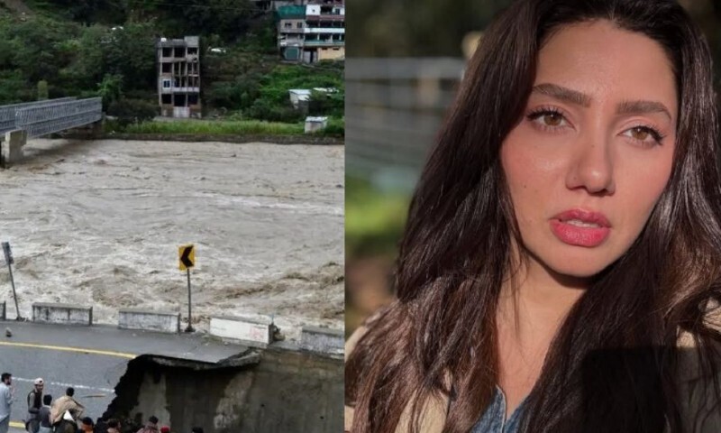 &mdash;اسکرین شاٹ