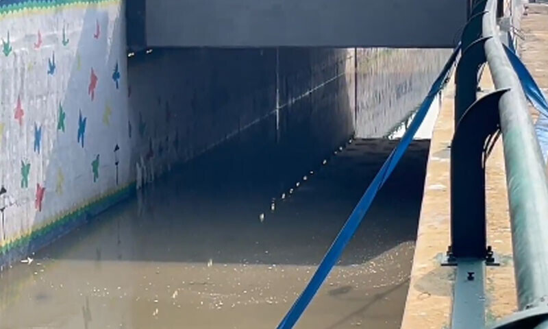 &mdash; فوٹو: سوشل میڈیا