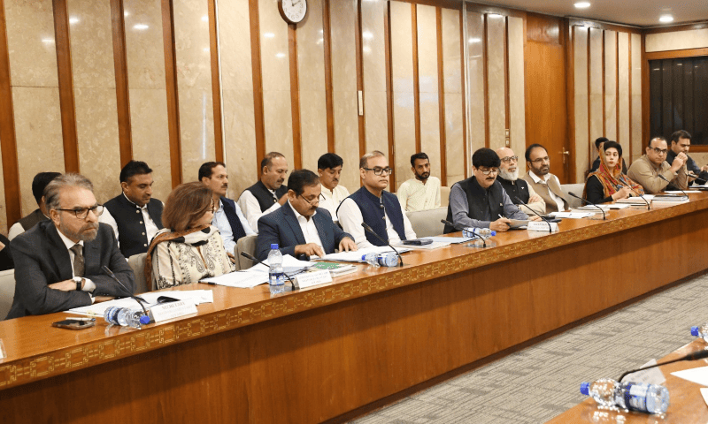 MNA Rana Iradat Sharif Khan (not pictured) chairs a meeting of the  Standing Committee on Parliamentary Affairs in Islamabad on Aug 22, 2025. &mdash; X/NA_Committees