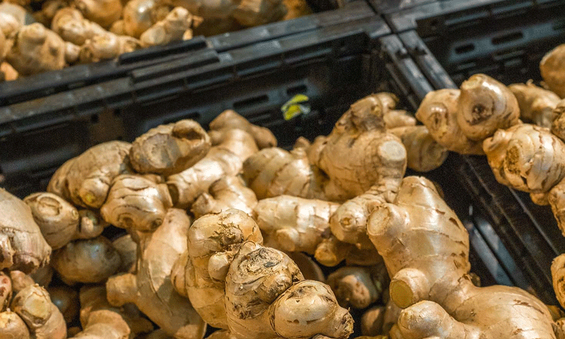 فوٹو: فوڈ ٹریبیون