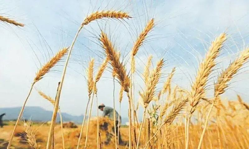 آئندہ سال شروع ہونے والے اس نئے سیٹلائٹ پر مبنی نظام کے ذریعے اس دیرینہ مسئلے کے حل کی توقع ہے — فائل فوٹو: ڈان آئندہ سال شروع ہونے والے اس نئے سیٹلائٹ پر مبنی نظام کے ذریعے اس دیرینہ مسئلے کے حل کی توقع ہے — فائل فوٹو: ڈان