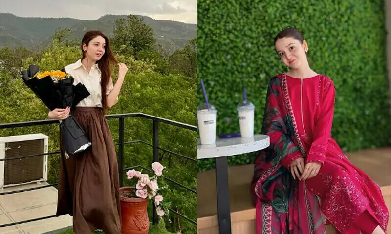 اسکروٹنی ٹیم نے ایک ماہ سے زائد عرصے تک چالان کی اسکروٹنی کی &mdash; فائل فوٹو: ثنا یوسف انسٹاگرام