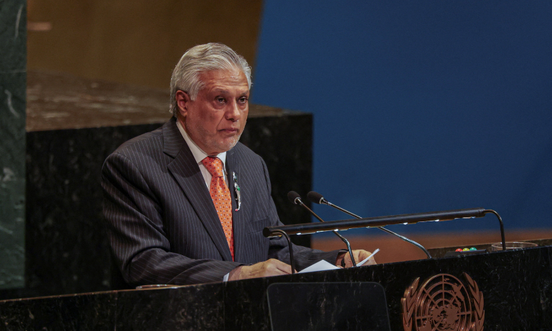 Ishaq Dar, Deputy Prime Minister and Minister for Foreign Affairs of Pakistan, speaks during a High-level International Conference for the Peaceful Settlement of the Question of Palestine and the Implementation of the Two-State Solution at UN headquarters in New York City, US, on July 28, 2025. &mdash; Reuters/File