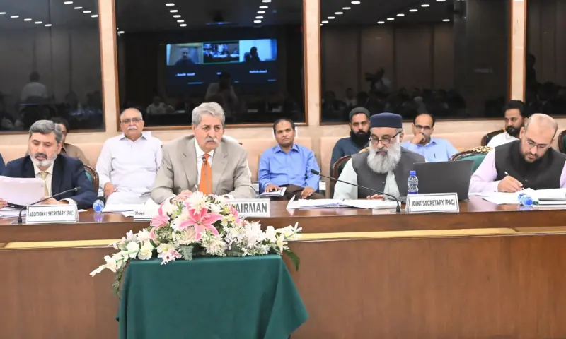 Syed Naveed Qamar chairs a meeting of the Public Accounts Committee, in Islamabad on Aug 27, 2025. &mdash; X/NA_Committees
