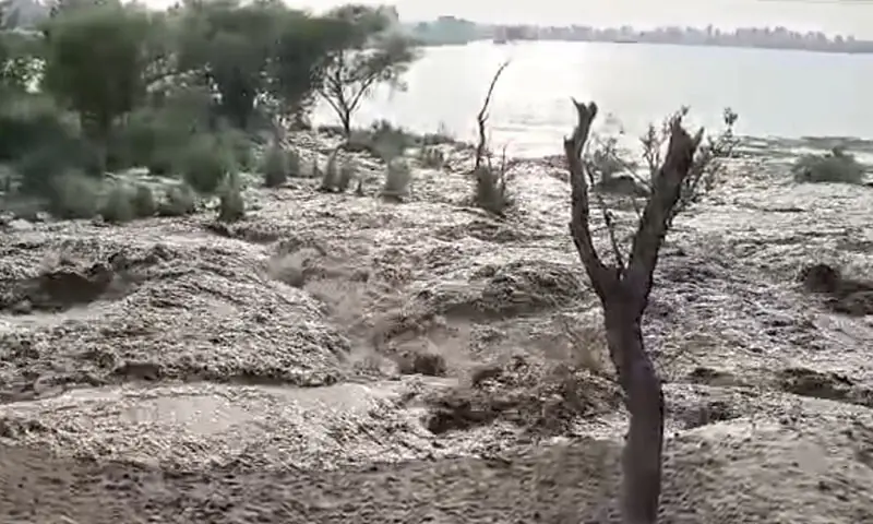 Floodwater rushes in Punjab&rsquo;s Mandi Bahauddin district on August 28. &mdash; Screengrab via Zaheer Sial