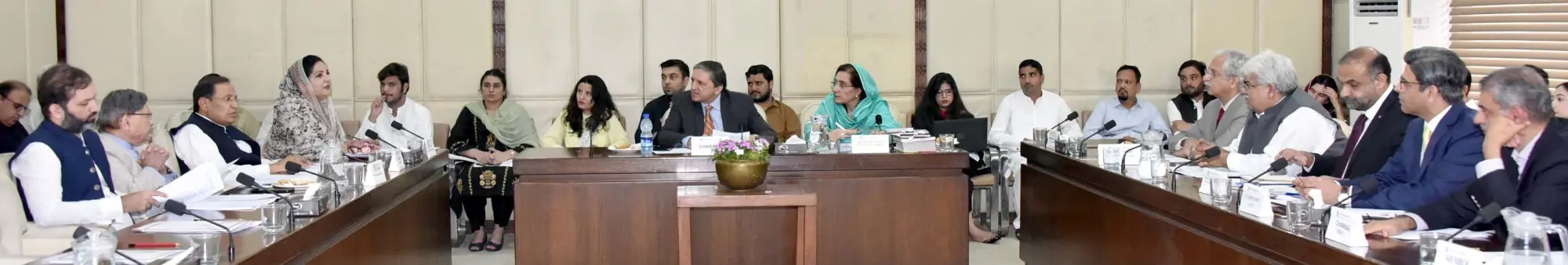 Senator Saleem Mandviwalla, presides over a meeting of Senate Standing Committee on Finance and Revenue in Islamabad, Aug 28. &mdash; Senate of Pakistan website