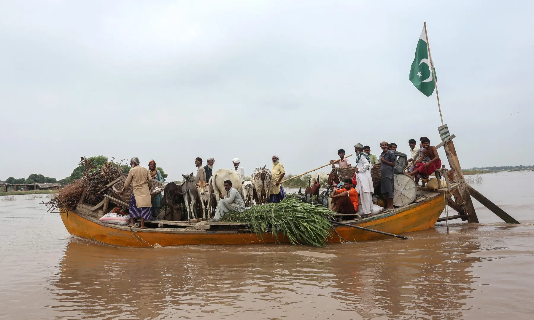  Villagers along with their livestock evacuate on a boat after an increase in floodwater levels following the overflowing of the Chenab River in Multan on August 30, 2025. &mdash; AFP 