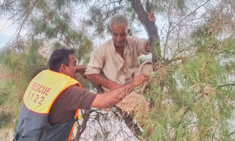 Rescuers save a stranded man from a tree near Chichawatni on August 30. &mdash; Photo courtesy Rescue 1122