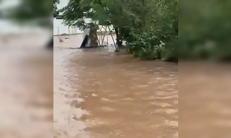 — فوٹو: سوشل میڈیا — فوٹو: سوشل میڈیا