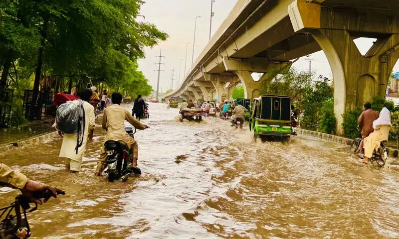 — فوٹو: سوشل میڈیا — فوٹو: سوشل میڈیا