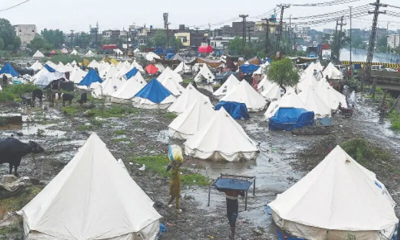 متاثرین کا سب سے بڑا خوف آبادکاری نہیں بلکہ امداد ختم ہونے کے بعد زندہ رہنے کا ہے۔
&mdash;فوٹو: مرتضیٰ علی/وائٹ اسٹار