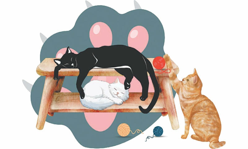 Illustration by Gazein Khan