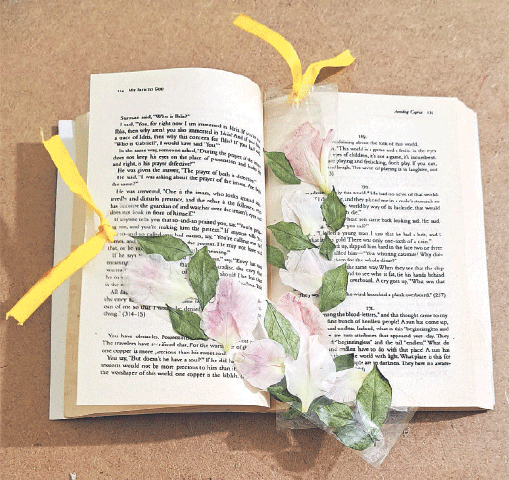 Photos by the writer