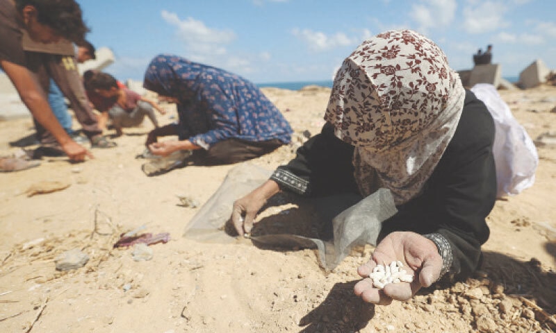 Palestinian women search the sand for legumes or rice in Nuseirat, in the central Gaza Strip, during an airdrop mission.&mdash;AFP