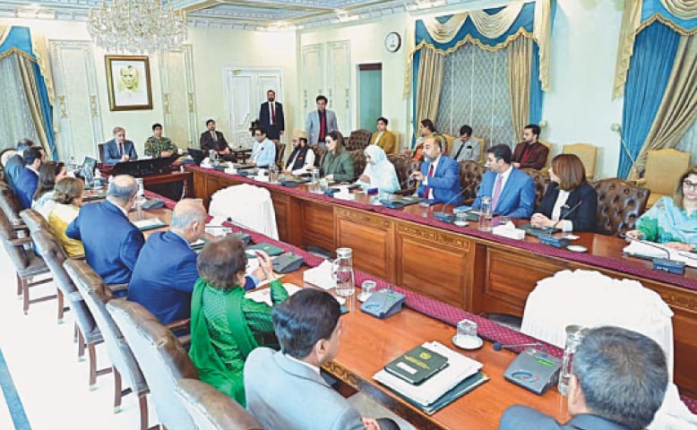 Prime Minister Shehbaz Sharif chairs a meeting to assess the impact of rising population on the country&rsquo;s development trajectory.&mdash;PPI