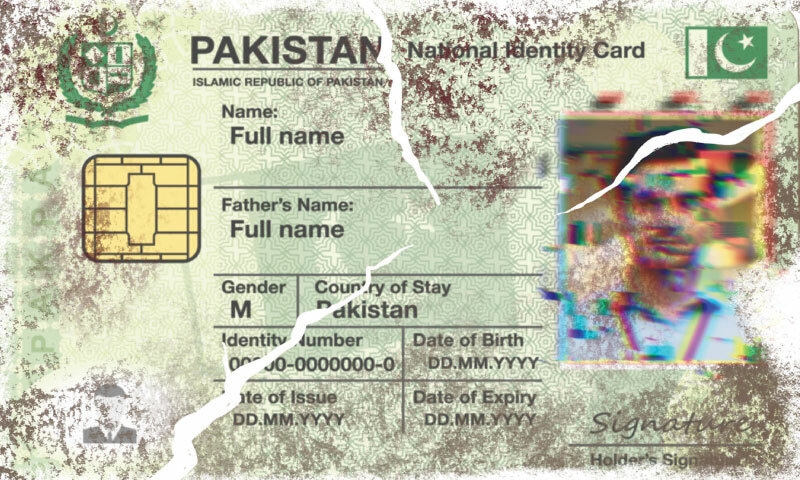 Illustration by Radia Durrani