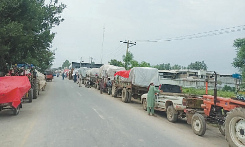 Growers park their tractor-trollies carrying tobacco on the roadside in Swabi. &mdash; Photo by Muqaddam Khan