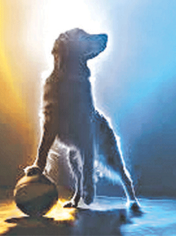 Sources: www.metro.co.uk;mirror.co.uk; upi.com