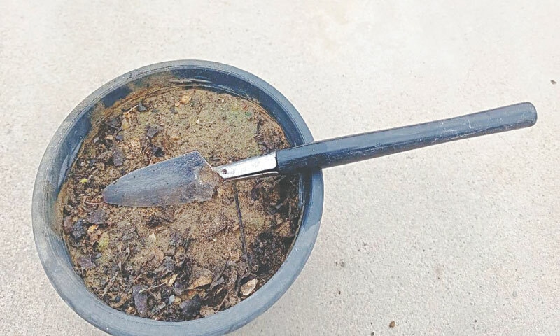 A small shovel can be used for tilling the soil in a pot or household garden