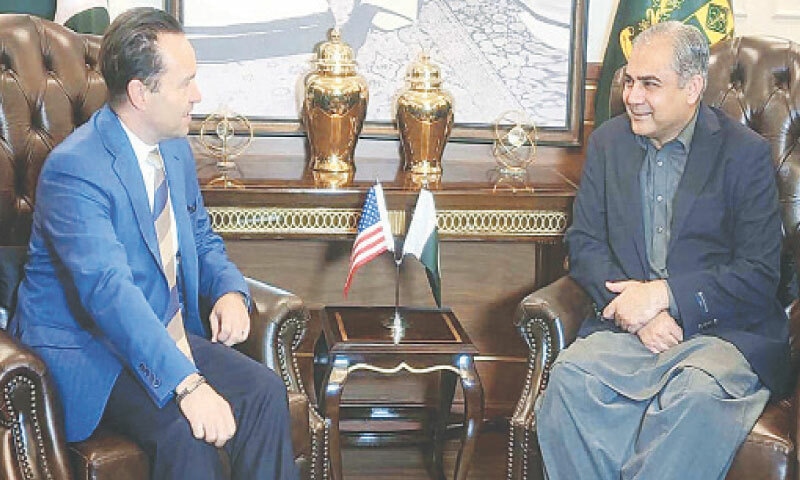 Interior Minister Mohsin Naqvi exchanges views with Gregory LoGerfo, the US Coordinator for Counterterrorism, during their meeting in Islamabad.&mdash;PPI