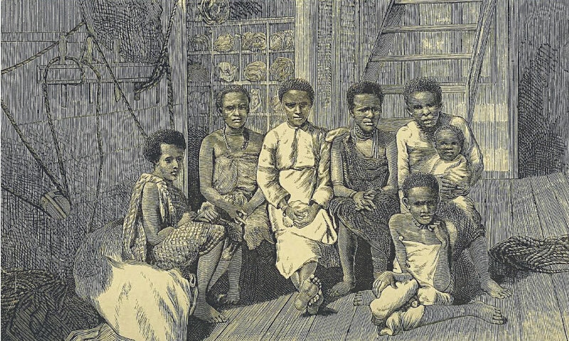 An illustration from the book Slave-catching in the Indian Ocean by Philip Howard Colomb, published in 1873. The book details the British naval campaign to suppress the East African slave trade in the late 19th century