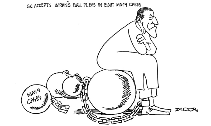 Zahoor's Cartoon