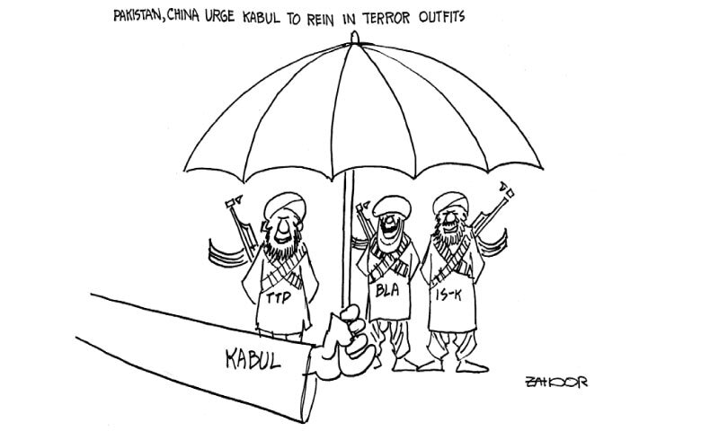 Zahoor's Cartoon
