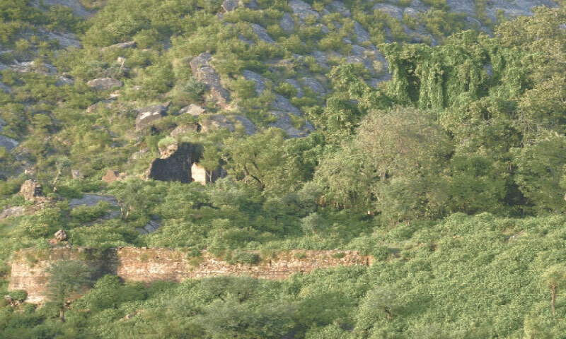 Remnants of the walls of Pharwala Fort reminds of the past glory of the Gakhars in Potohar region.