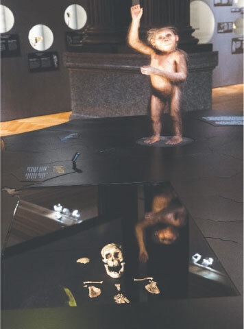 A RECONSTRUCTED model of one of the oldest human ancestors on display at the National Museum in Prague.&mdash;Reuters