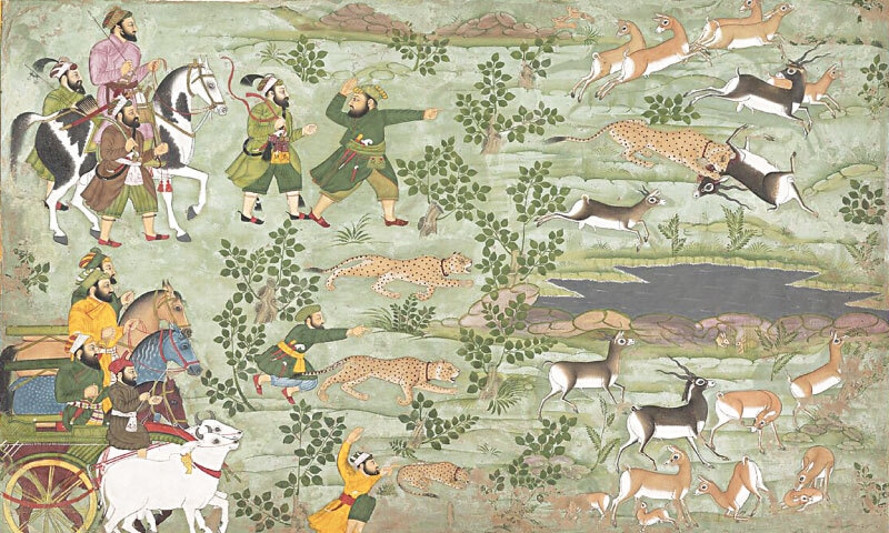  Shah Jahan Hunting Blackbuck with Trained Cheetahs 