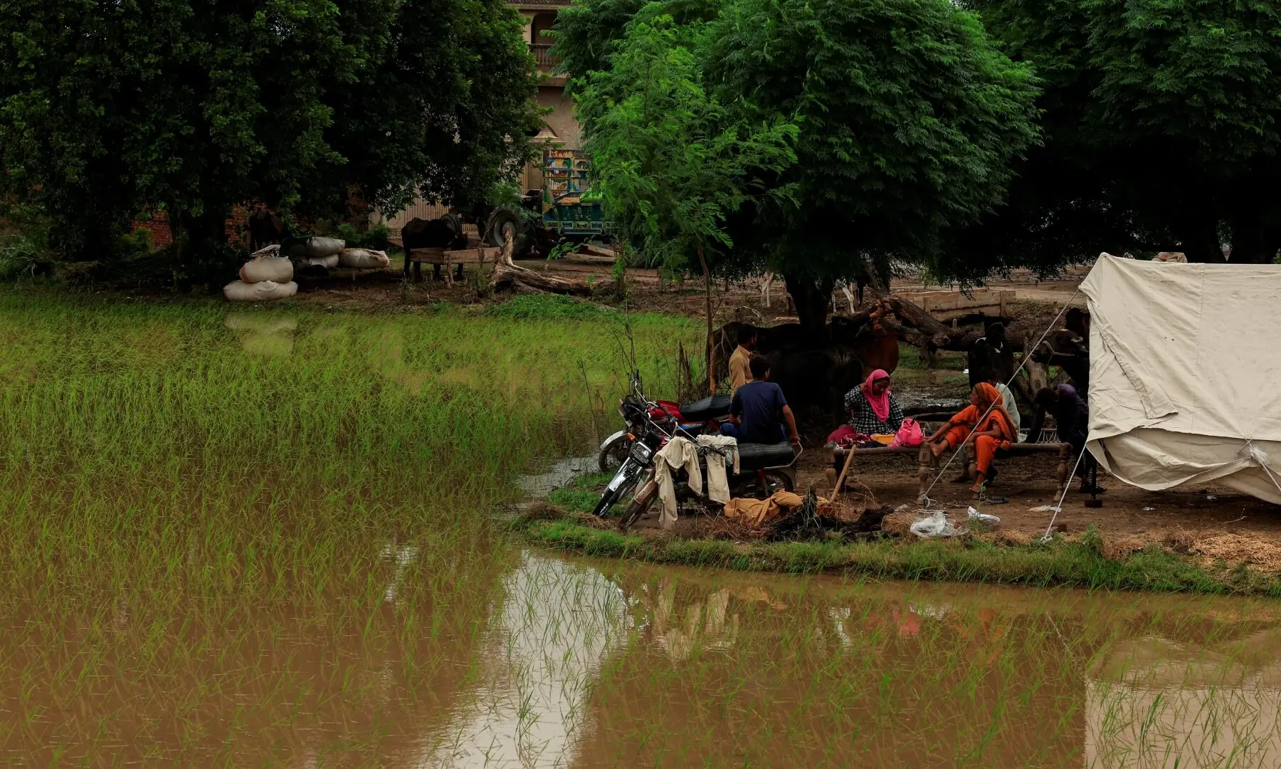  Residents sit outside a makeshift tent beside a flooded field, following monsoon rains and rising water levels of the Chenab River, in Patraki village, Chiniot district, Punjab on August 30, 2025. &mdash; Reuters/Akhtar Soomro 