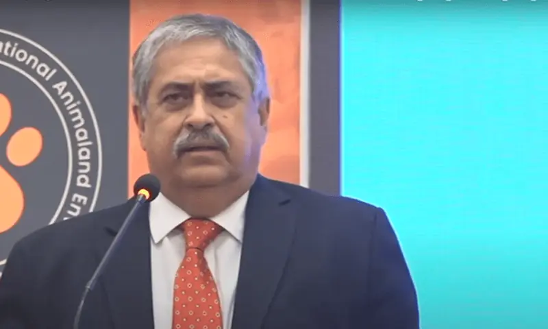 — فائل فوٹو: ڈان نیوز — فائل فوٹو: ڈان نیوز