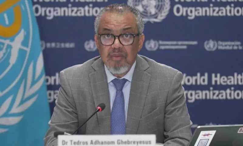 WHO Director General Dr Tedros Adhanom Ghebreyesus addresses a press briefing on September 5. &mdash; Screengrab from X/@DrTedros