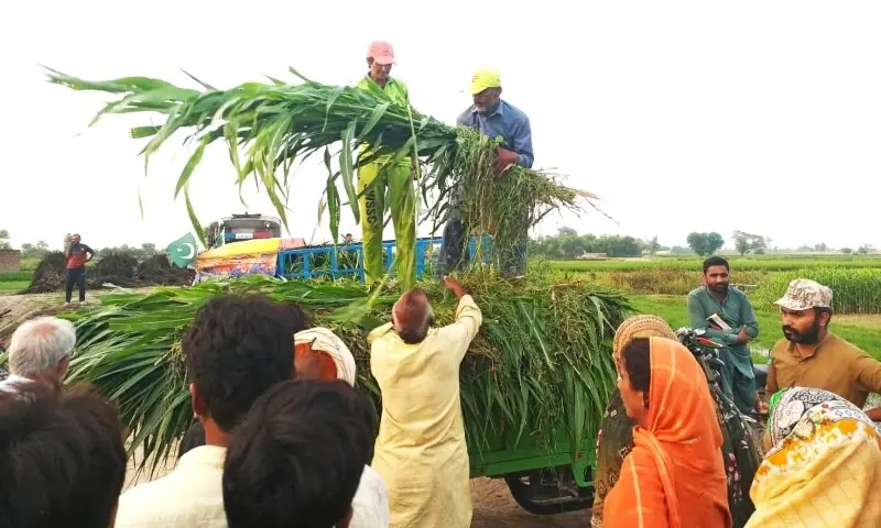SAHIWAL: Suthra Punjab and Rescue 1122 workers busy in flood-affected areas. &mdash; Photo via Shafiq Butt