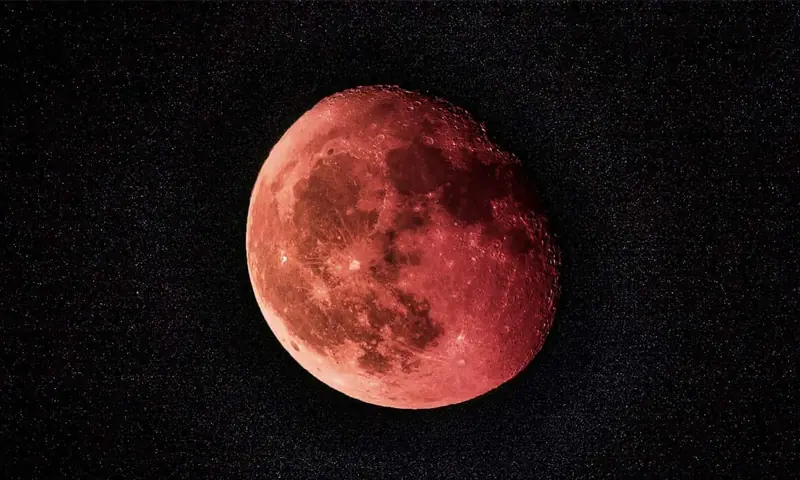 &mdash; فائل فوٹو: این ڈی ٹی وی