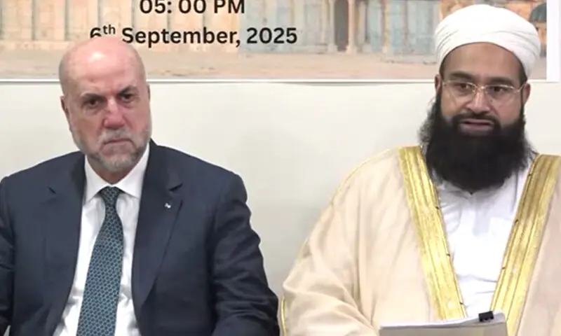 &mdash; فوٹو: اسکریب گریب/پی ٹی وی