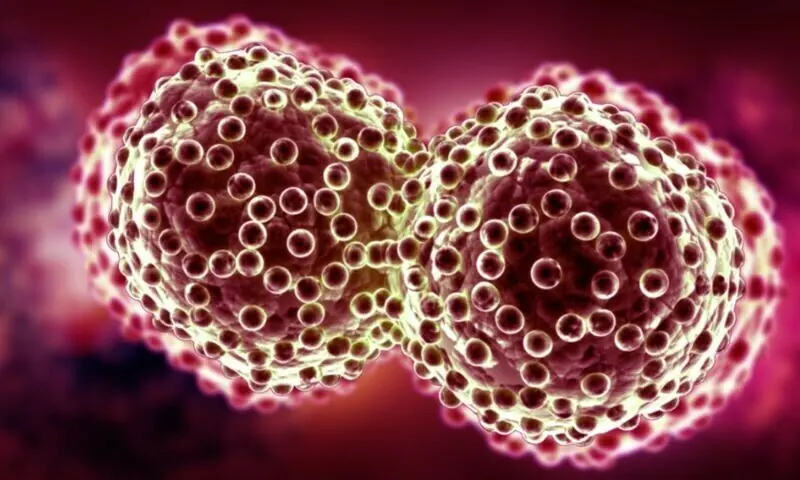 &mdash; فوٹو: سائنٹیفک گلوبل