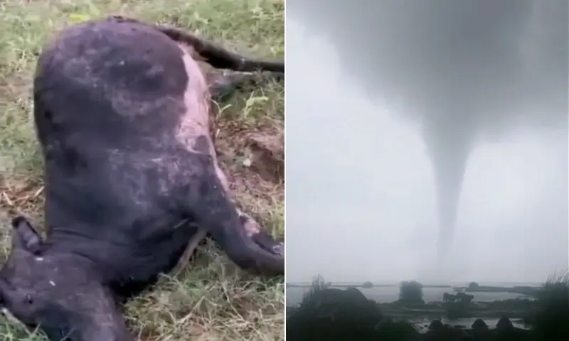 &mdash; فوٹو: ڈان نیوز