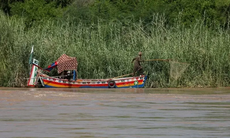 3 لاکھ 50 ہزار کیوسک کا ریلہ پہلے سے ہی سیلاب میں ڈوبے سیہون کی جانب بڑھ رہا ہے۔— فوٹو: رائٹرز 3 لاکھ 50 ہزار کیوسک کا ریلہ پہلے سے ہی سیلاب میں ڈوبے سیہون کی جانب بڑھ رہا ہے۔— فوٹو: رائٹرز