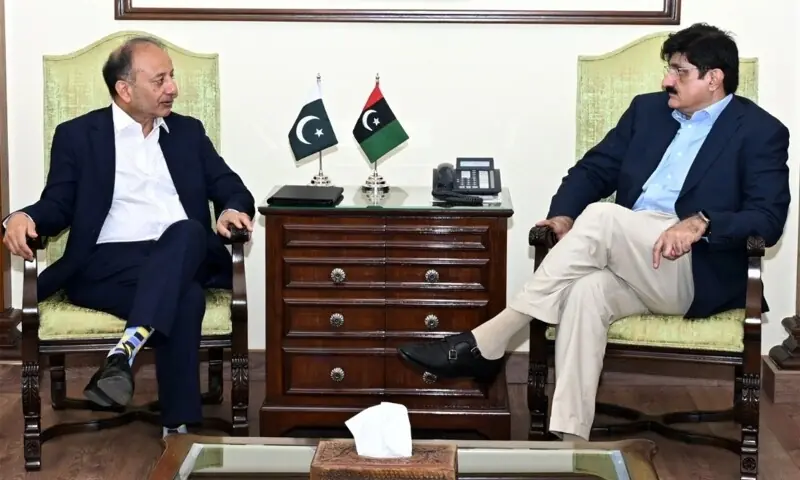Sindh Chief Minister Syed Murad Ali Shah and Federal Minister for Climate Change and Environmental Coordination Musadik Malik hold a meeting, Sept 15. &mdash; X/@SindhCMHouse