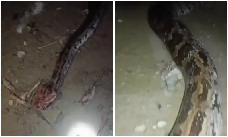 — فوٹو: ڈان نیوز — فوٹو: ڈان نیوز