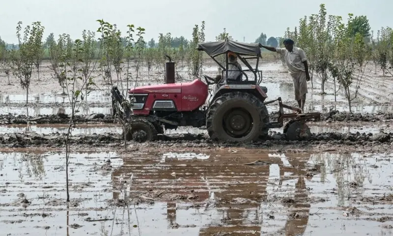 In this photograph taken on September 12, farmers plough a field in the village of Shehzada on the outskirts of Amritsar in India’s Punjab state. — AFP In this photograph taken on September 12, farmers plough a field in the village of Shehzada on the outskirts of Amritsar in India’s Punjab state. — AFP