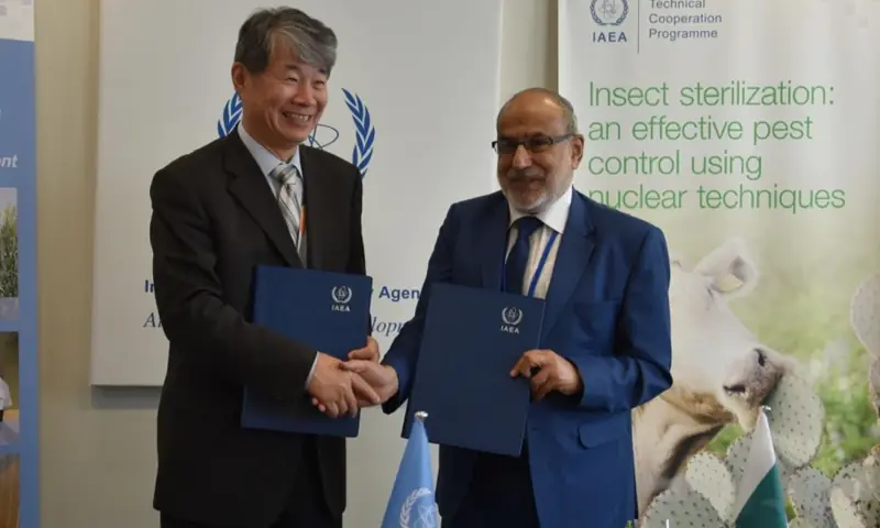 — فوٹو: پی ٹی وی — فوٹو: پی ٹی وی