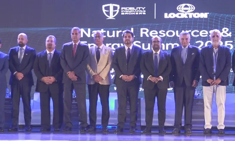 ماہرین نے خبردار کیا کہ اگر فوری اقدامات نہ کیے گئے تو غیر ملکی کمپنیاں موقع سے فائدہ اٹھا لیں گی &mdash; فوٹو: بشکریہ ٹریڈ کرونیکل