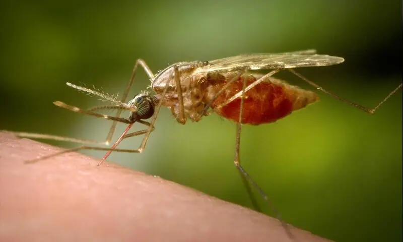 &mdash; فائل فوٹو: اے پی