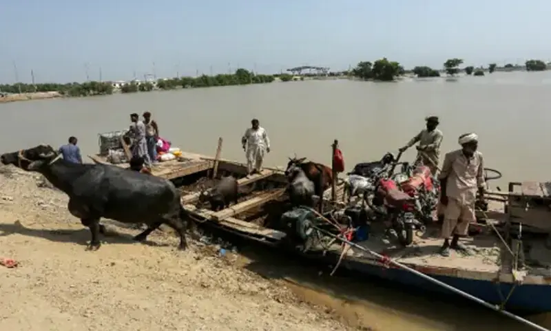 فوٹو: ڈان نیوز