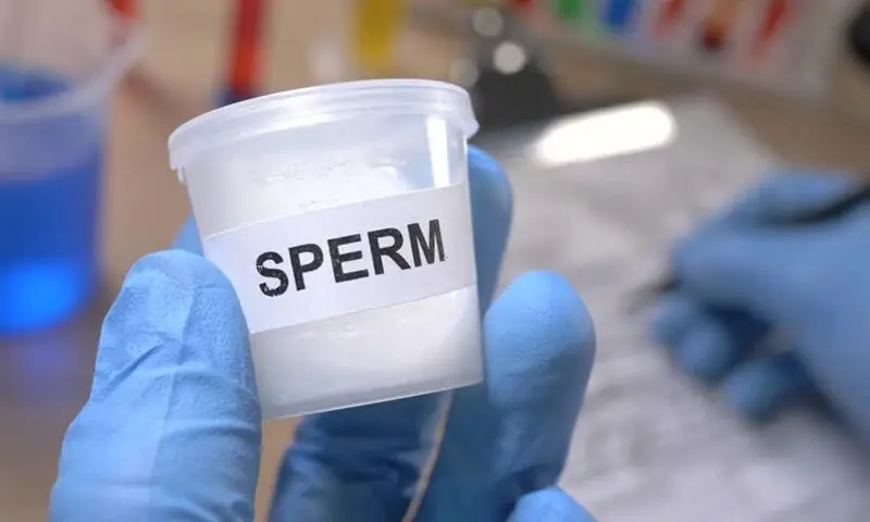 فوٹو: شٹر اسٹاک فوٹو: شٹر اسٹاک