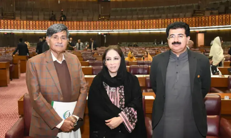 روبینہ عرفان ایک دن قبل انٹرا پارٹی الیکشن میں بی اے پی وومن وِنگ کی جنرل سیکریٹری منتخب ہوئی تھیں — فائل فوٹو: سوشل میڈیا روبینہ عرفان ایک دن قبل انٹرا پارٹی الیکشن میں بی اے پی وومن وِنگ کی جنرل سیکریٹری منتخب ہوئی تھیں — فائل فوٹو: سوشل میڈیا